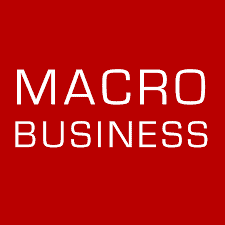 Macro business logo